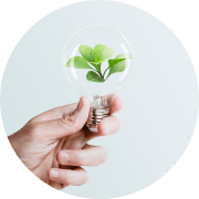 sustainable-energy-campaign-hand-holding-tree-light-bulb-media-remix 1