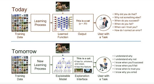 Explainable AI