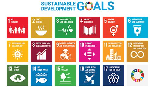 Sustainable Development Goals (SDGs)